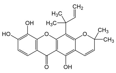 PA PHY 005241