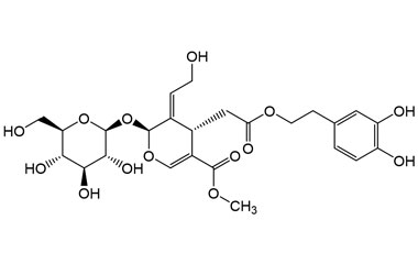 PA PHY 005242