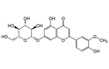 PA PHY 005243