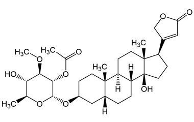 PA PHY 005244