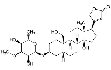 PA PHY 005245