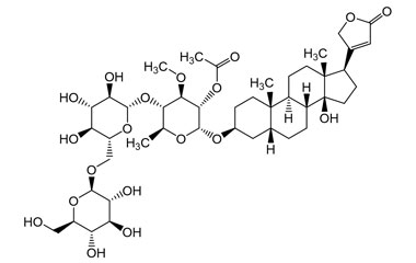 PA PHY 005246