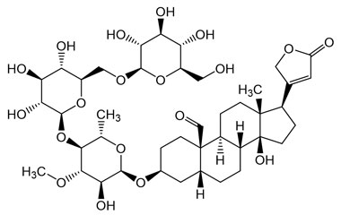 PA PHY 005247