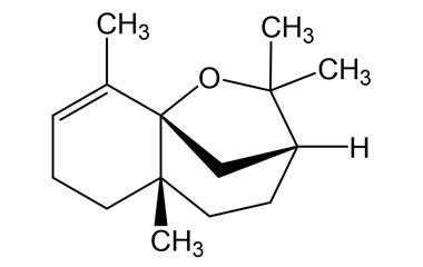 PA PHY 005249