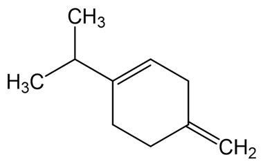 PA PHY 005250