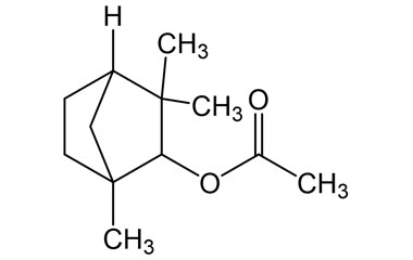 PA PHY 005251