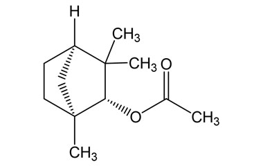 PA PHY 005252