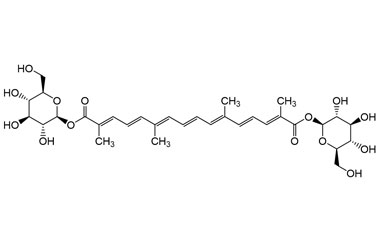 PA PHY 005255