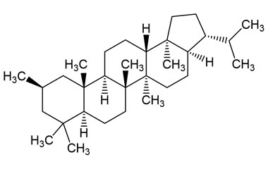 PA PHY 005261