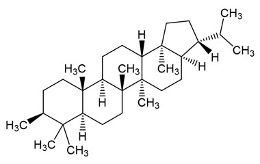 PA PHY 005263