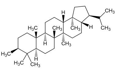 PA PHY 005264