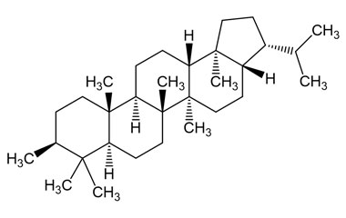 PA PHY 005265