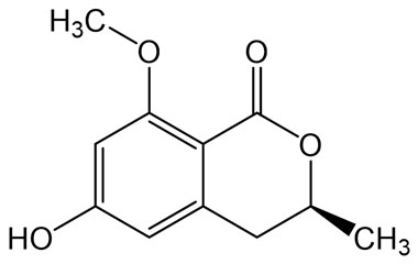 PA PHY 005326