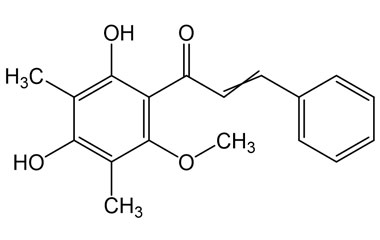 PA PHY 005332