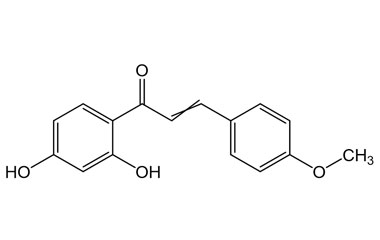 PA PHY 005334