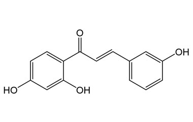 PA PHY 005337