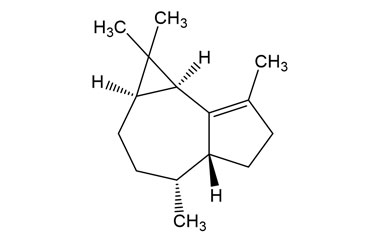 PA PHY 005339