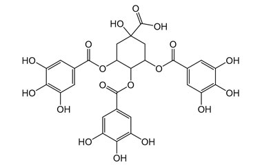 PA PHY 005340