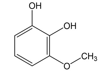 PA PHY 005359