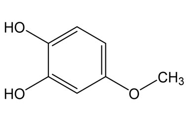 PA PHY 005360