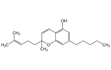 PA PHY 005364