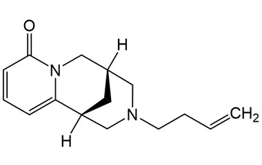 PA PHY 005365