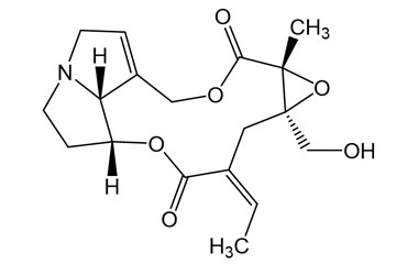 PA PHY 005367