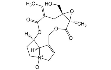 PA PHY 005368