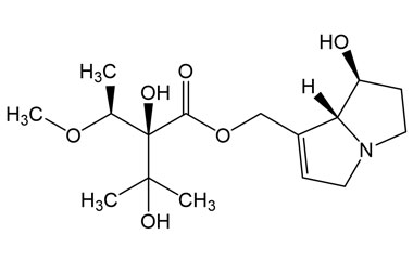 PA PHY 005369