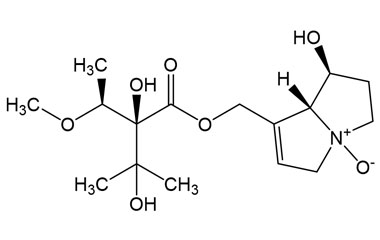 PA PHY 005370