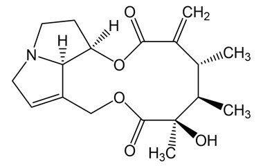 PA PHY 005371