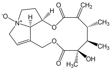 PA PHY 005372
