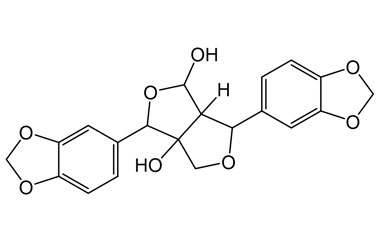 PA PHY 005373