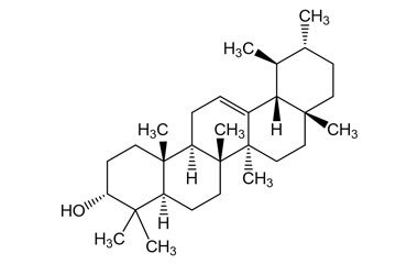 PA PHY 005374