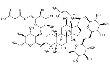 PA PHY 005375