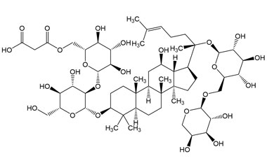 PA PHY 005376