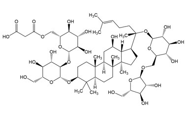 PA PHY 005377
