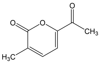 PA PHY 005384