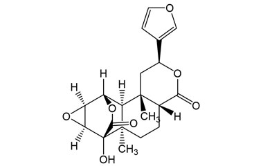 PA PHY 005386