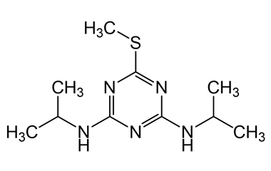 7287-19-6