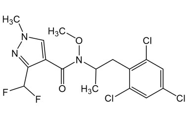 PA PST 019772