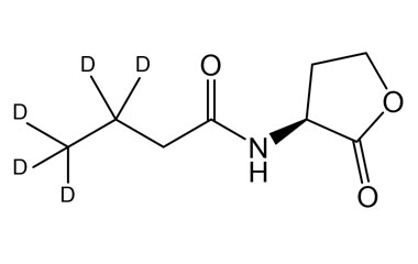 PA STI 090013